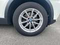 BMW X3 2.0 DIESEL 184 CV xdrive20d Futura Alb - thumbnail 10