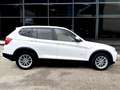 BMW X3 2.0 DIESEL 184 CV xdrive20d Futura Alb - thumbnail 5