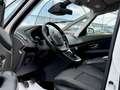 Renault Scenic Scénic TCe 115 PF Zen PDC Navi Klimaautomatik 8... Weiß - thumbnail 13