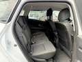 Renault Scenic Scénic TCe 115 PF Zen PDC Navi Klimaautomatik 8... Weiß - thumbnail 10