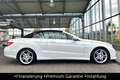 Mercedes-Benz E 300 Cabrio AMG Sport*Nackhzg.*Diamantw.*Aut.* Beyaz - thumbnail 7