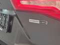 Ford Focus Focus 1.0 EcoBoost MHEV Hybrid-1 prop.-Top état Gris - thumbnail 2