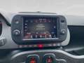 Fiat Panda Cross 4x4 85PS Gelb - thumbnail 18