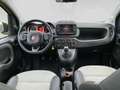 Fiat Panda Cross 4x4 85PS Gelb - thumbnail 19