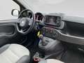 Fiat Panda Cross 4x4 85PS Gelb - thumbnail 21
