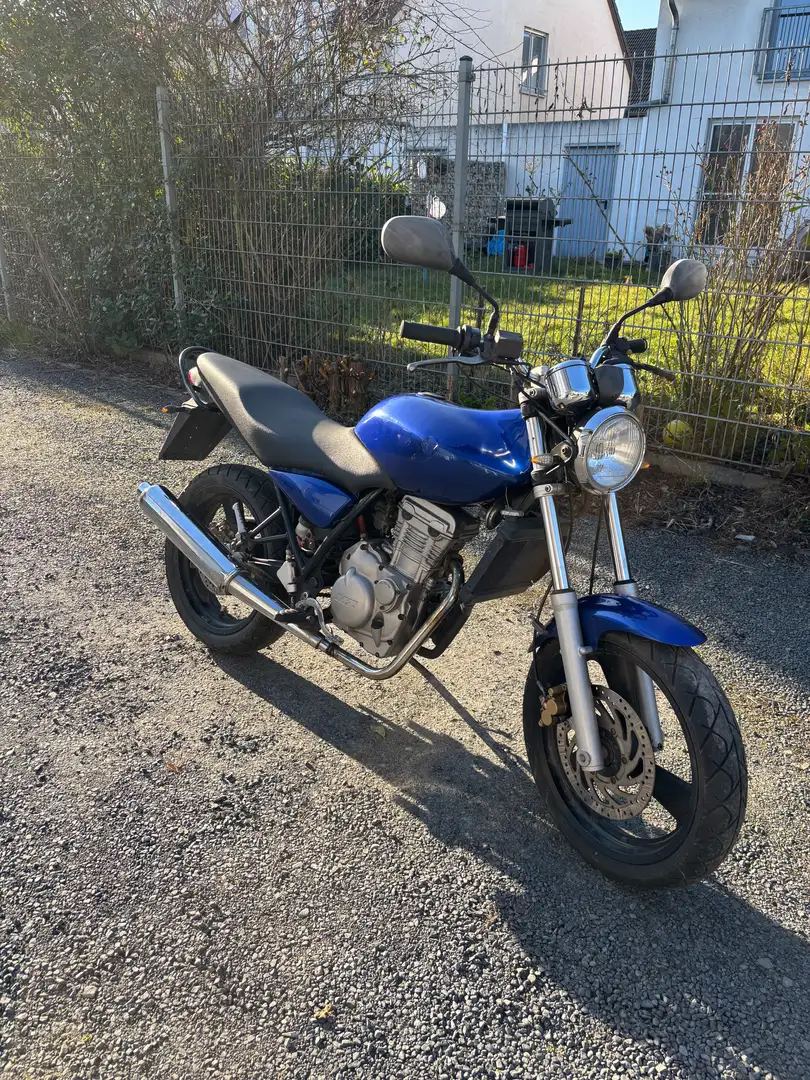 MZ RT 125 Blue - 1