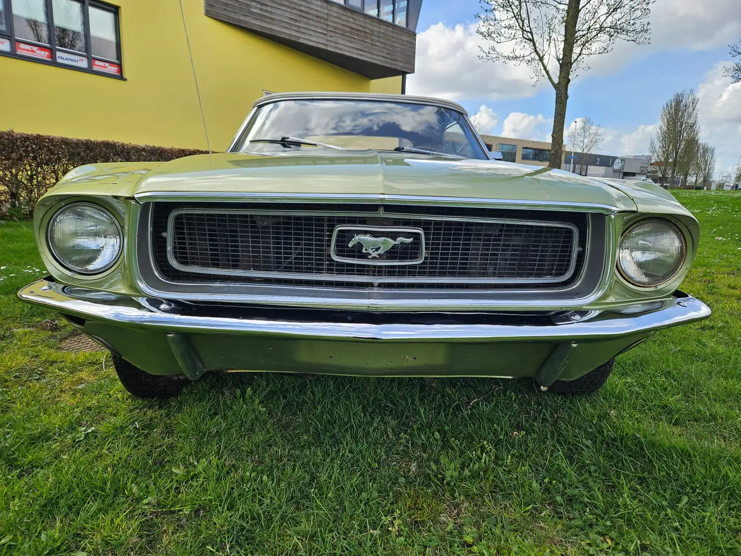 Ford Mustang cabrio Groen - 2