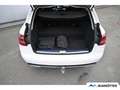 Mercedes-Benz C 300 Avant ACC/AHK/360°Cam/AirMatic/Keyless Weiß - thumbnail 6