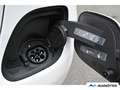 Mercedes-Benz C 300 Avant ACC/AHK/360°Cam/AirMatic/Keyless Weiß - thumbnail 32