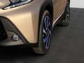 Toyota Aygo X 1.0 Team D SHZ KLIMA KAMERA BLUETOOTH Beige - thumbnail 12