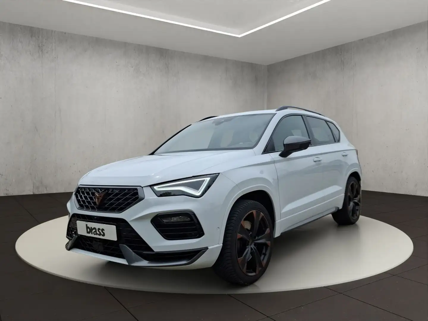 CUPRA Ateca 2.0 TSI VZ 4 Drive 360 Kamera Soundsystem Weiß - 1