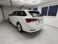 Skoda Octavia Ambition*Business*AHK*LED*ACC*Sitzheizung*Garantie Weiß - thumbnail 6