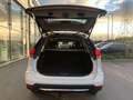 Nissan X-Trail F09 Blanc - thumbnail 12
