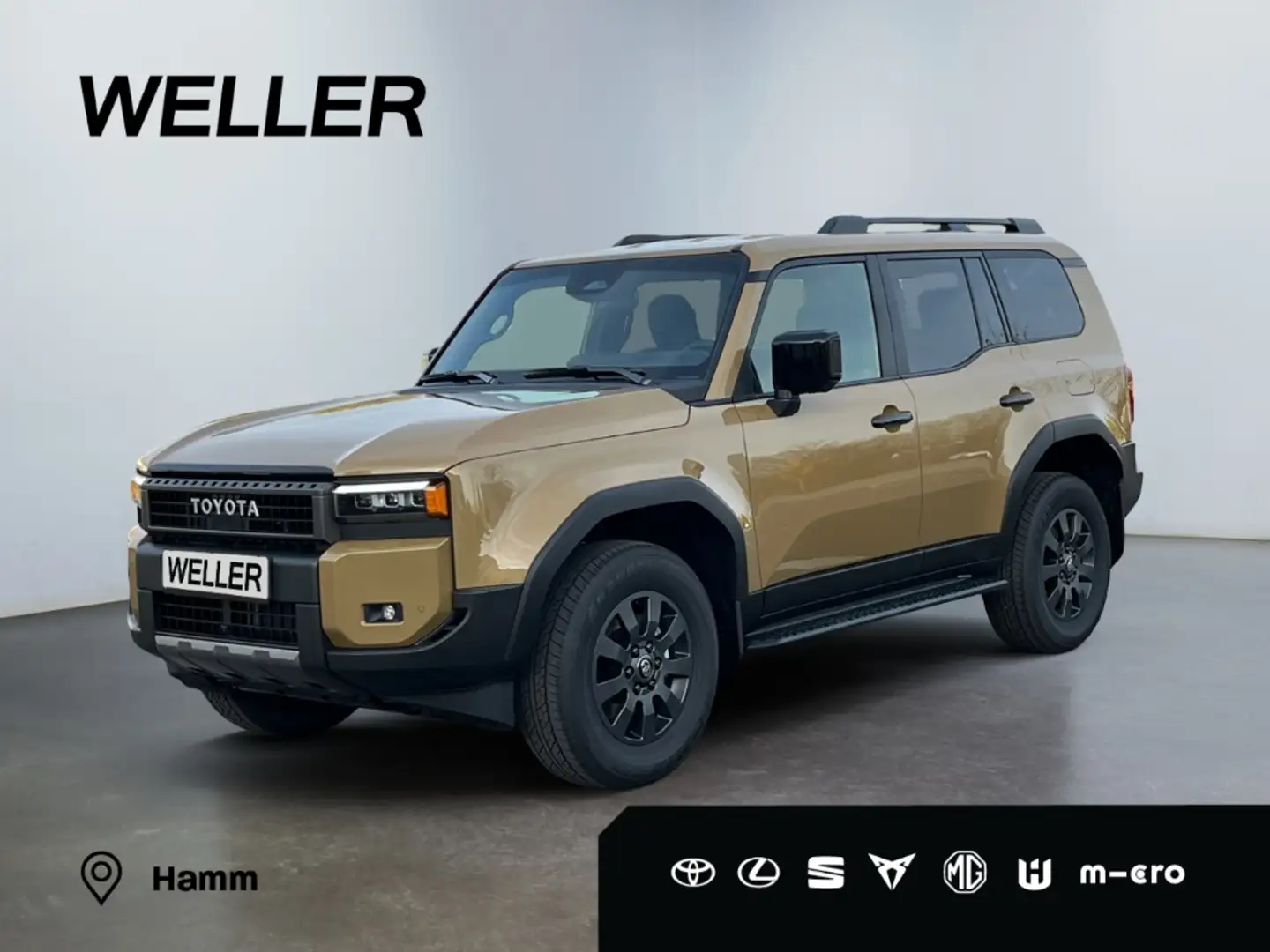 Toyota Land Cruiser 2.8 D-4D Executive *360*Navi*LED* Braun - 1