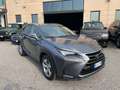 Lexus NX 300 h 2.5 Luxury 4wd cvt SOLO KM81K SEDILI VENTILATI Grey - thumbnail 3