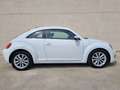 Volkswagen Beetle 1.6TDI Design 105 Blanco - thumbnail 4