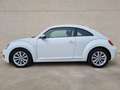 Volkswagen Beetle 1.6TDI Design 105 Blanco - thumbnail 3