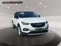 Opel Grandland INNOVATION Automatik, Navi,.... Bianco - thumbnail 4