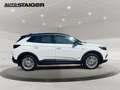 Opel Grandland INNOVATION Automatik, Navi,.... Bianco - thumbnail 5