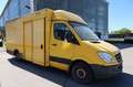 Mercedes-Benz Sprinter/ Koffer/Regalsystem/Motorschaden Jaune - thumbnail 1
