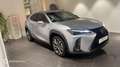 Lexus UX 250h 250h F SPORT Design 2WD - thumbnail 8
