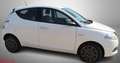 Lancia Ypsilon Ypsilon 1.0 FireFly 5 porte S&S Hybrid Oro Blanc - thumbnail 4