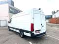 Mercedes-Benz Sprinter III Kasten.CDI.RWD/AWD 311/HOCH.LANG Blanc - thumbnail 4