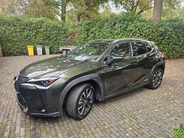 UX 250h * PRIVILEGE LINE *