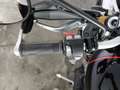 Triumph Street Scrambler 1200 XE Abs my24 Grigio - thumbnail 6