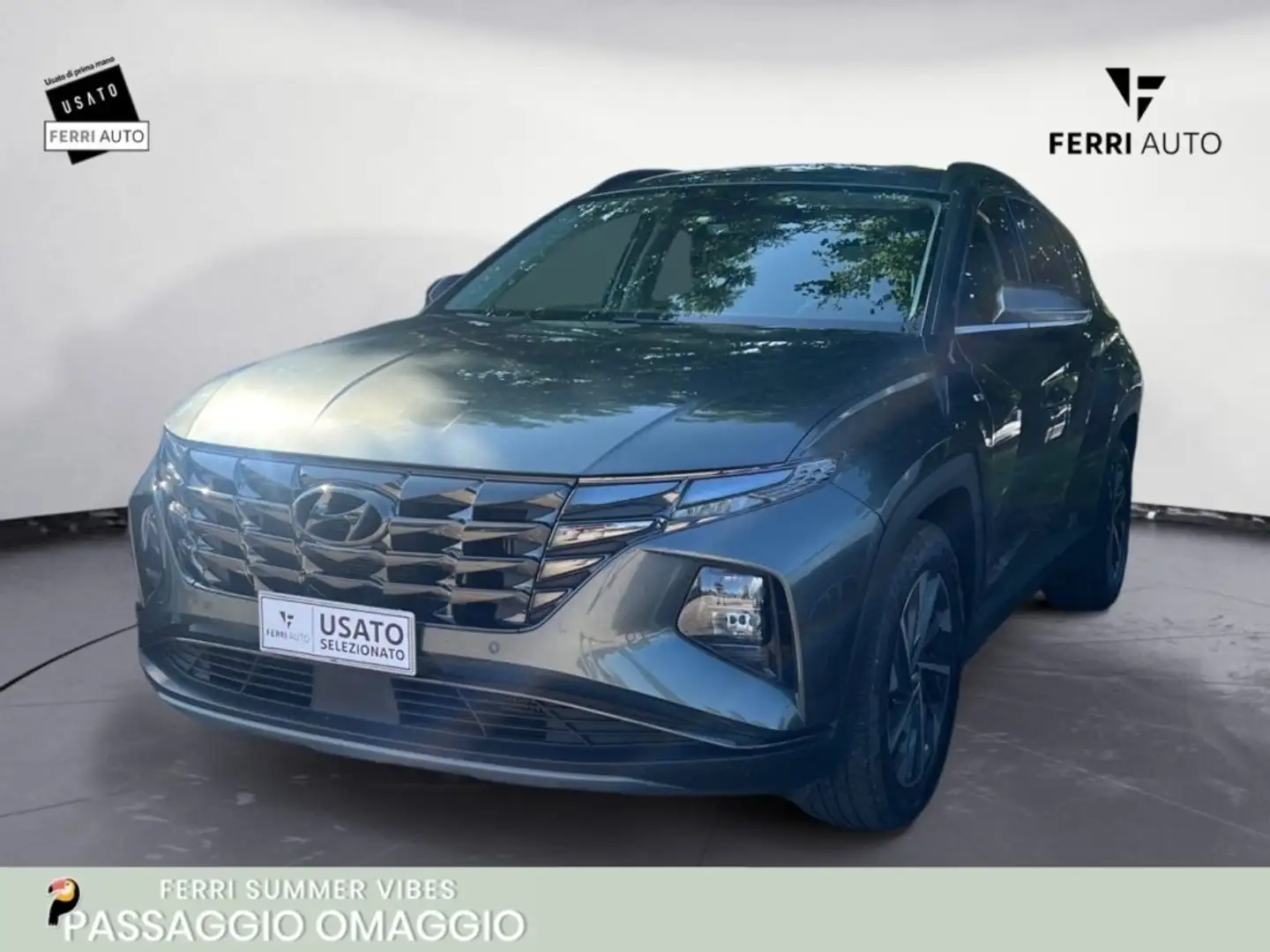 Hyundai TUCSON 1.6 CRDI 48V DCT XLine Grigio - 1