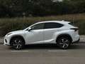 Lexus NX 300 Blanco - thumbnail 10