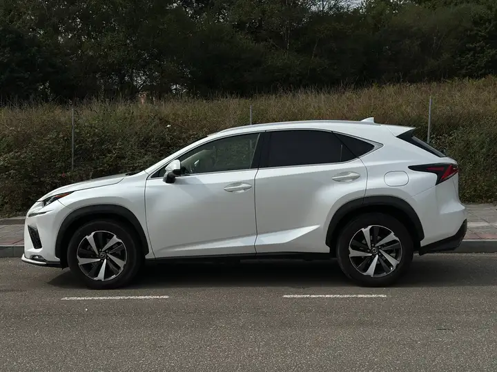 Lexus NX 2017, foto 10