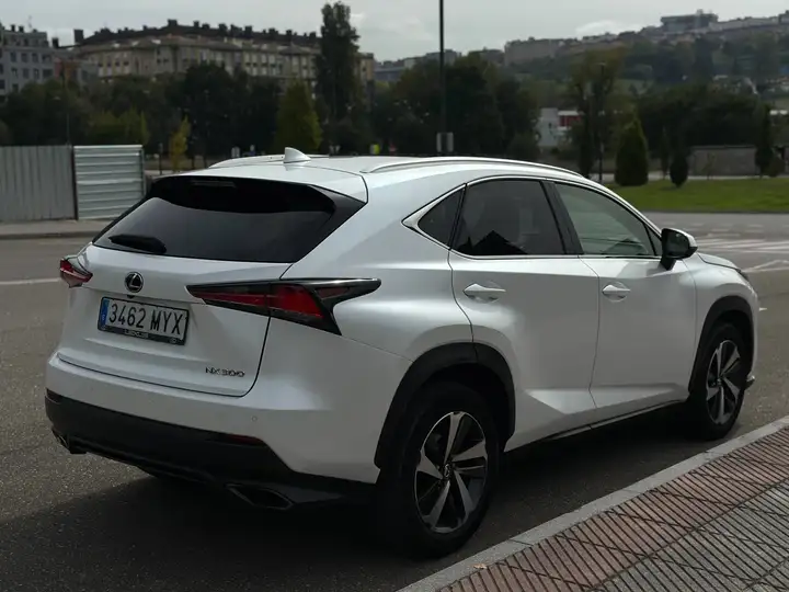 Lexus NX 2017, foto 9