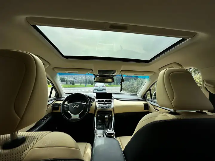 Lexus NX 2017, foto 13