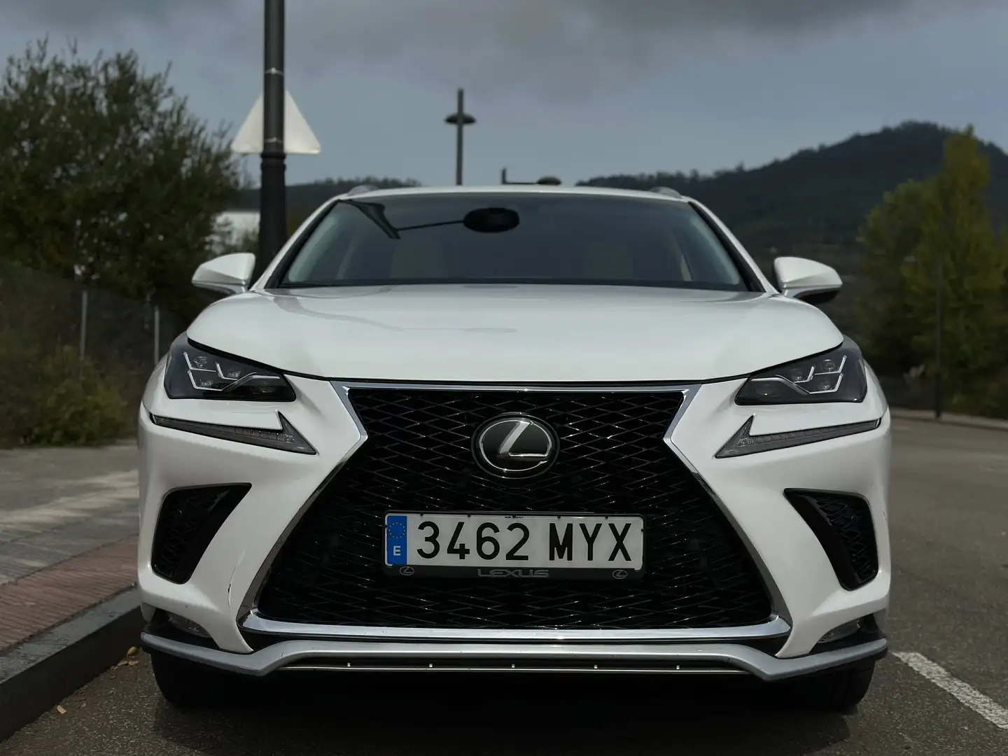 Lexus NX 300 Blanco - 1