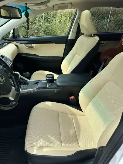 Lexus NX 2017, foto 16