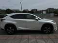 Lexus NX 300 Blanco - thumbnail 5
