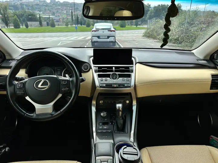 Lexus NX 2017, foto 14