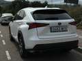 Lexus NX 300 Blanco - thumbnail 6