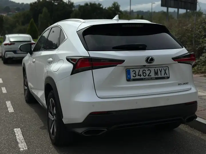 Lexus NX 2017, foto 6