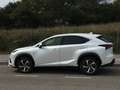 Lexus NX 300 Blanco - thumbnail 11