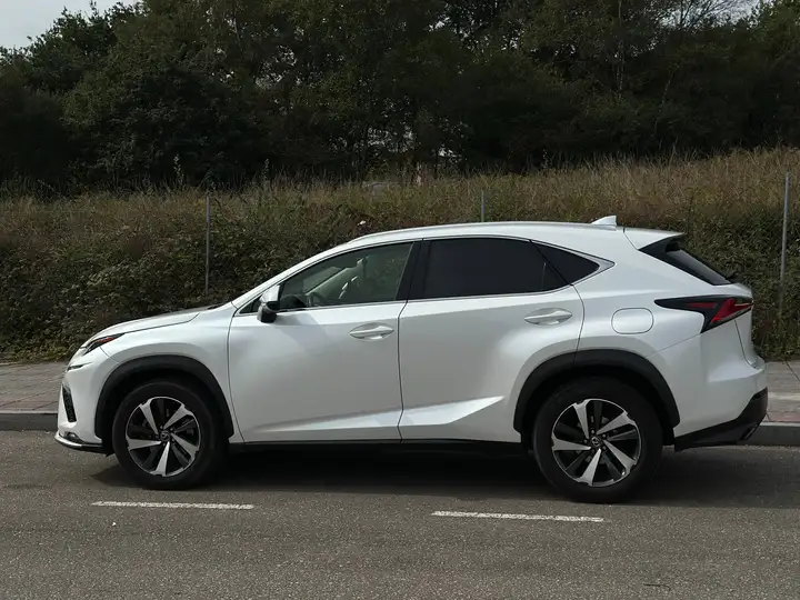 Lexus NX 2017, foto 11