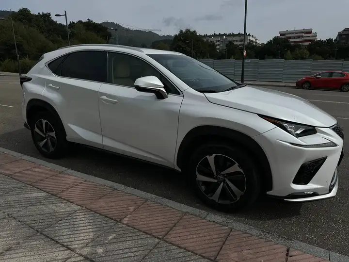 Lexus NX 2017, foto 4