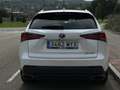 Lexus NX 300 Blanco - thumbnail 8