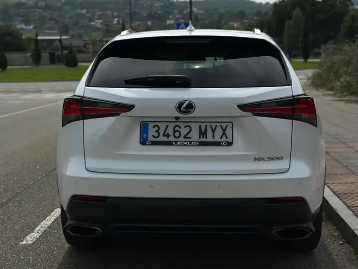 Lexus NX 2017, foto 8