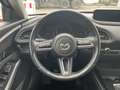 Mazda CX-30 SKY-G 2.0 M Hybrid 90 kW (122 PS) Selection Premiu Blau - thumbnail 19