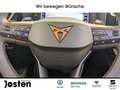 CUPRA Leon Sportstourer 1.5 eTSI NAVI Parklenk ACC Negro - thumbnail 22