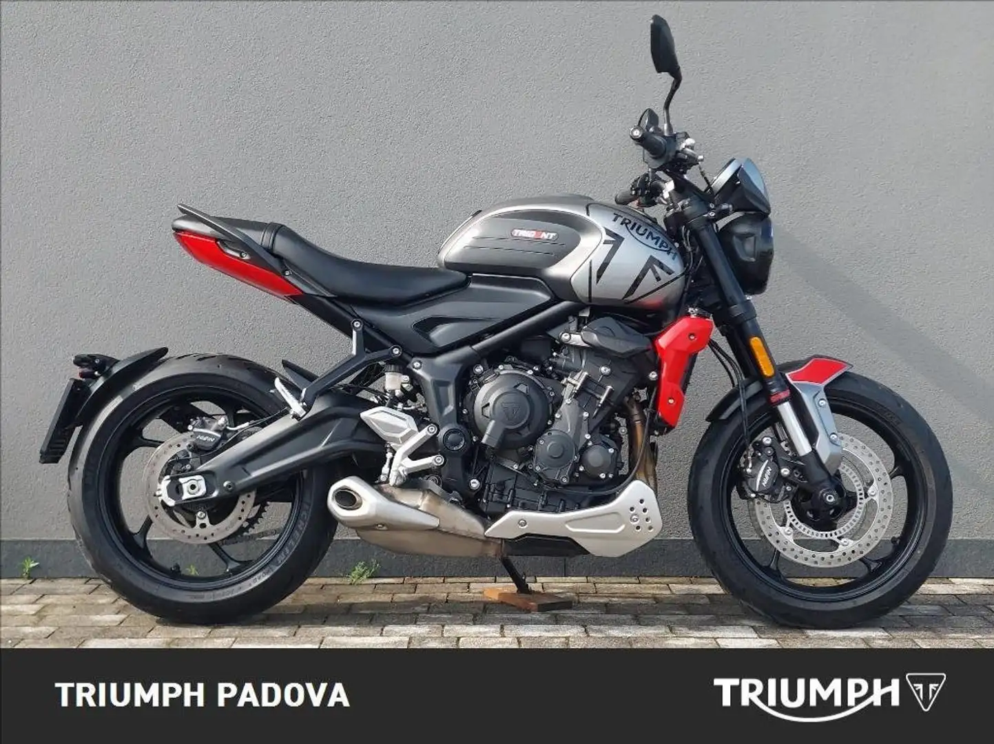 Triumph Trident 660 Gri - 1