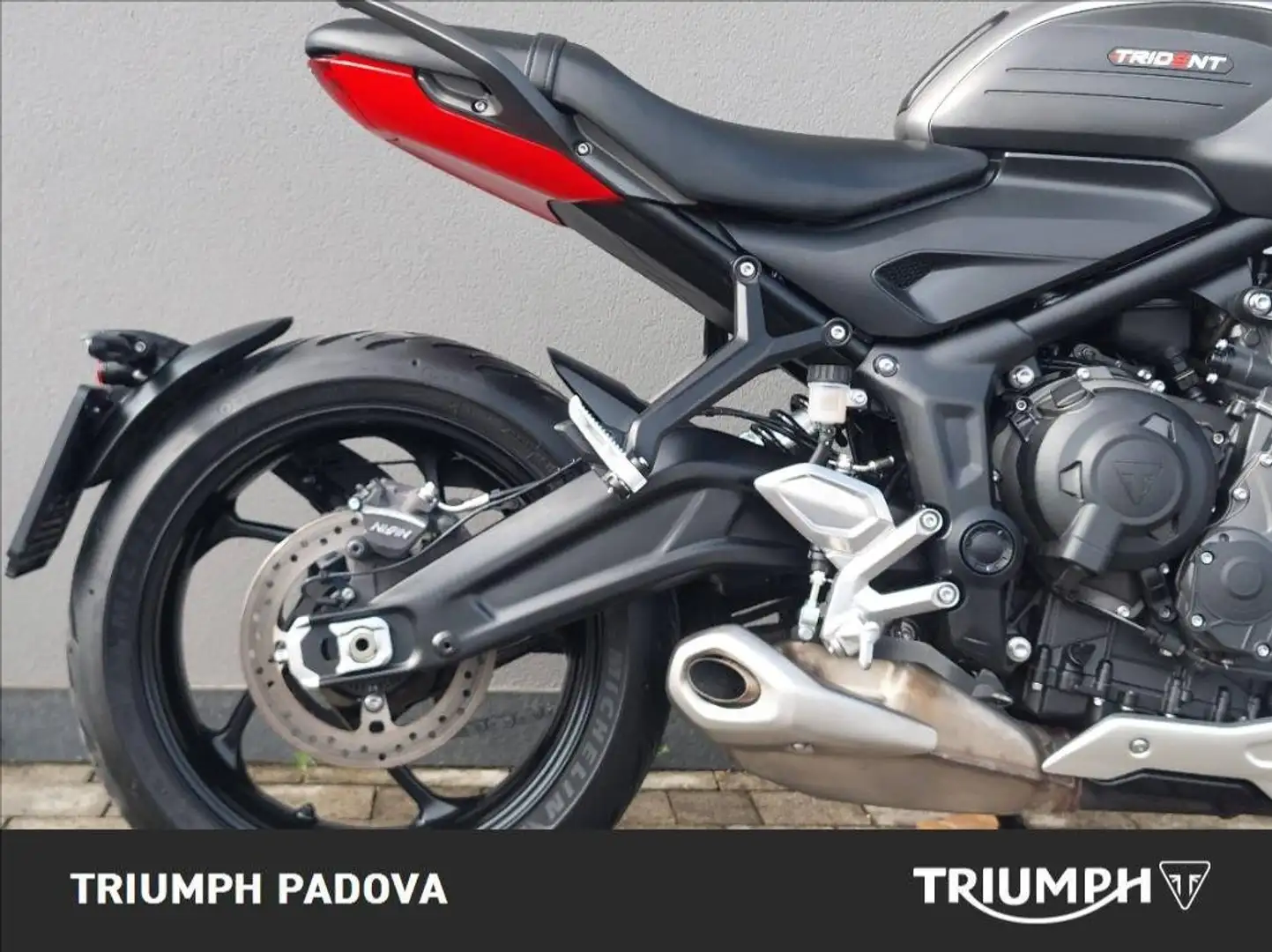 Triumph Trident 660 Gri - 2