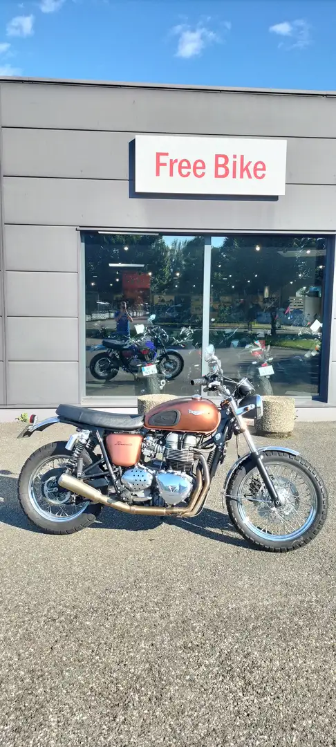 Triumph Marrón - 2
